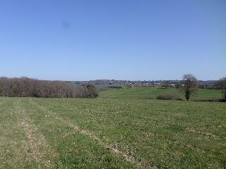 23-3-22 011.jpg